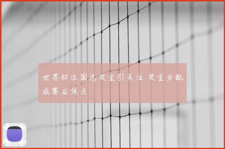 世界杯法国总奖金引关注 奖金分配成赛后焦点