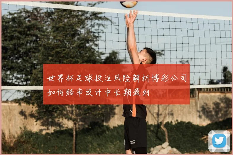 世界杯足球投注风险解析博彩公司如何赔率设计中长期盈利