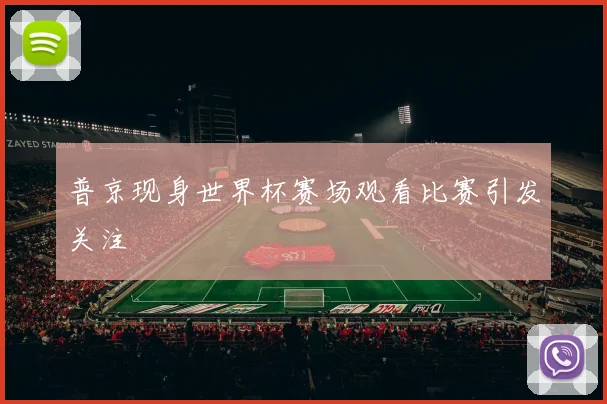 普京现身世界杯赛场观看比赛引发关注