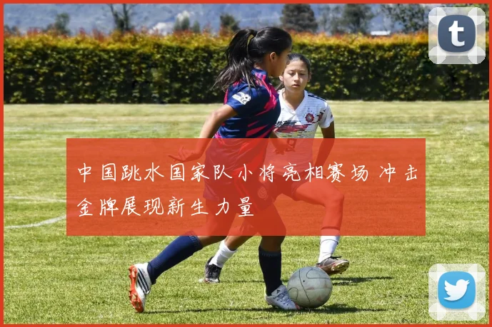 中国跳水国家队小将亮相赛场 冲击金牌展现新生力量