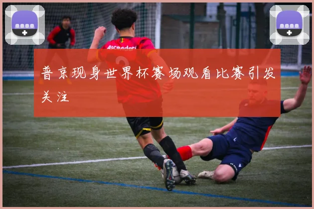 普京现身世界杯赛场观看比赛引发关注