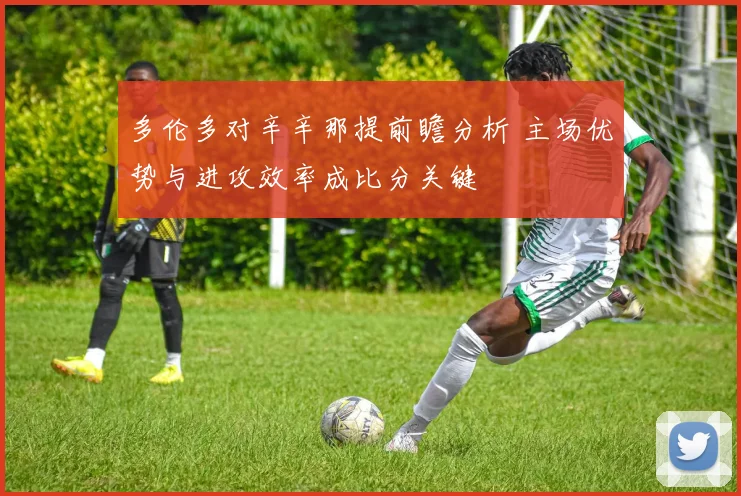 多伦多对辛辛那提前瞻分析 主场优势与进攻效率成比分关键