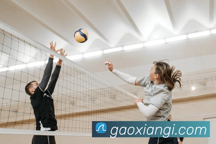 App Interface Preview