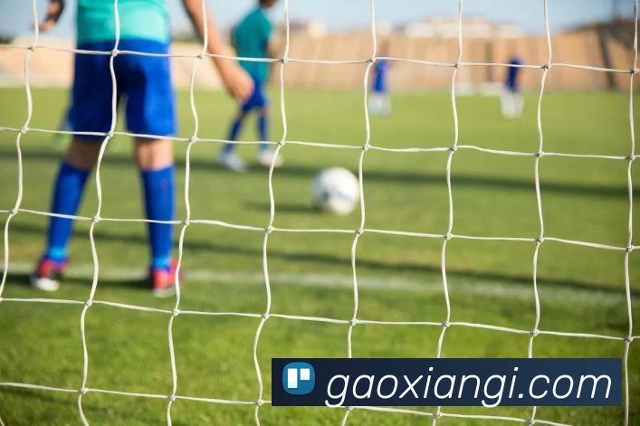 开云官方在线登陆入口APP 封面图